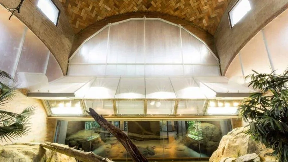 Dragons Breathe Life Into New Exhibit